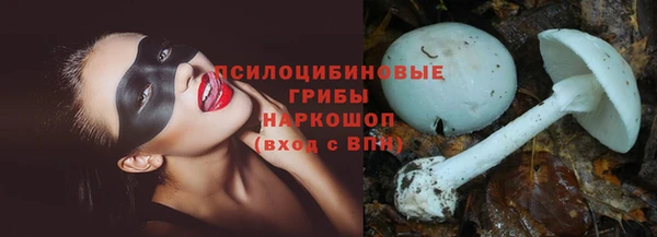 apvp Новозыбков