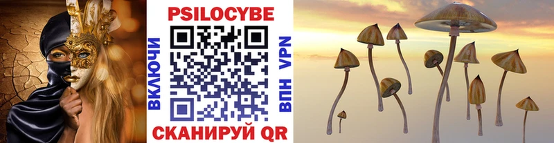 Галлюциногенные грибы GOLDEN TEACHER  Купить закладки  Тверь 